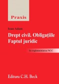 ebook_B_2013_9786061801572